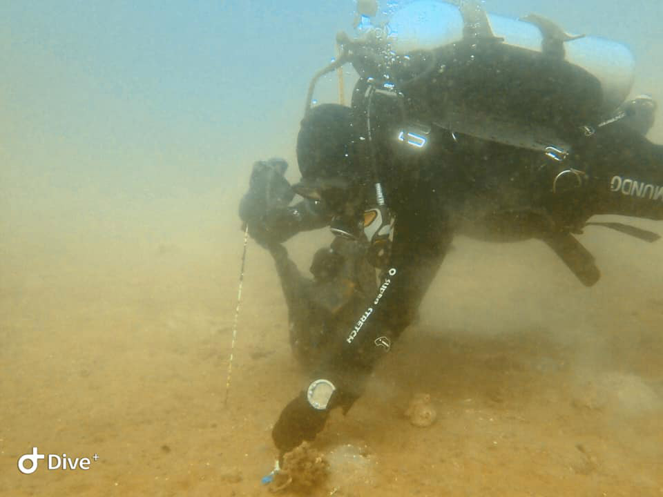 A diver is picking up trash during the #BrandAudit2019 in Davao del sur, Philippines.